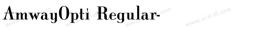 AmwayOpti Regular字体转换